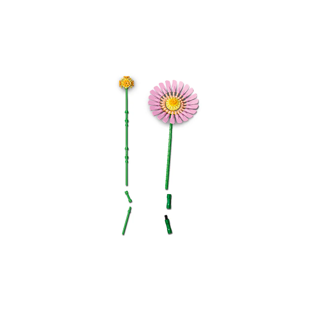 Imagen del producto 7
